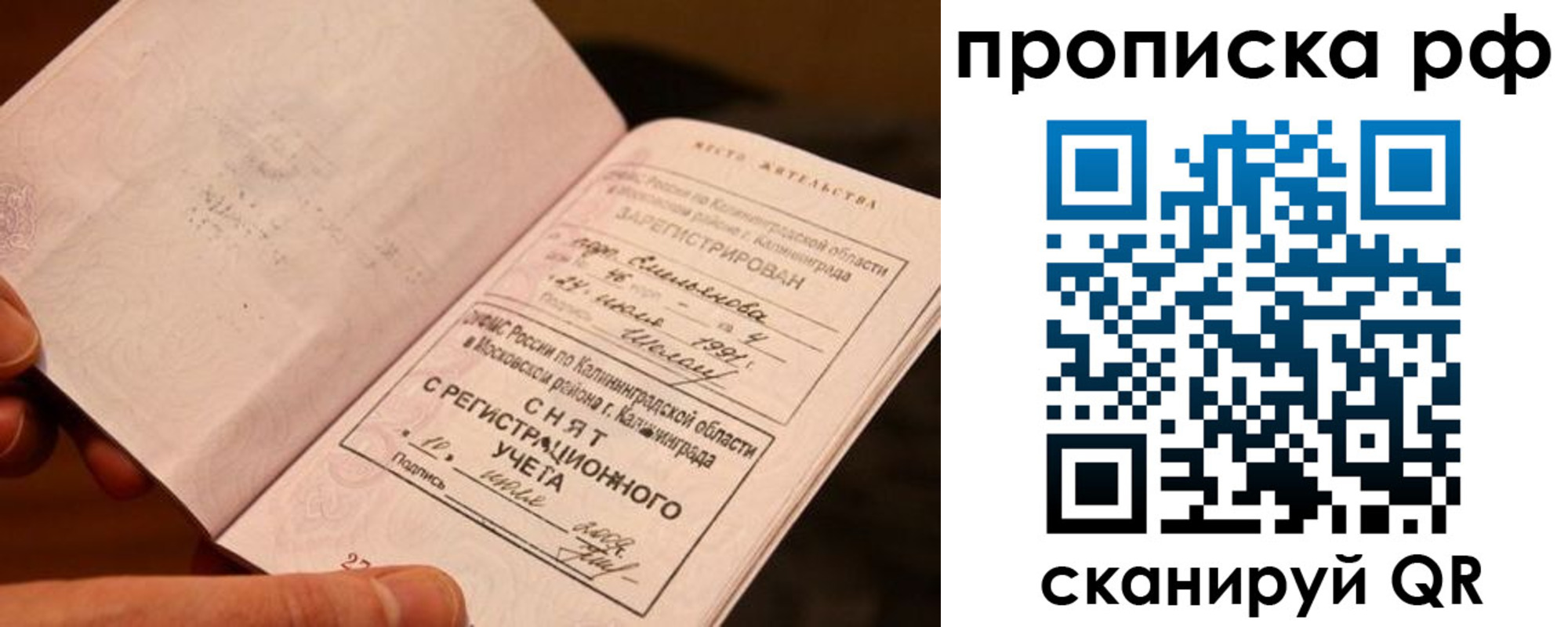 прописка гарантия в Зее